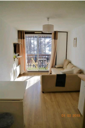 La Foux d'Allos STUDIO 4 PERSONNES 23m2 résidence les Etoiles